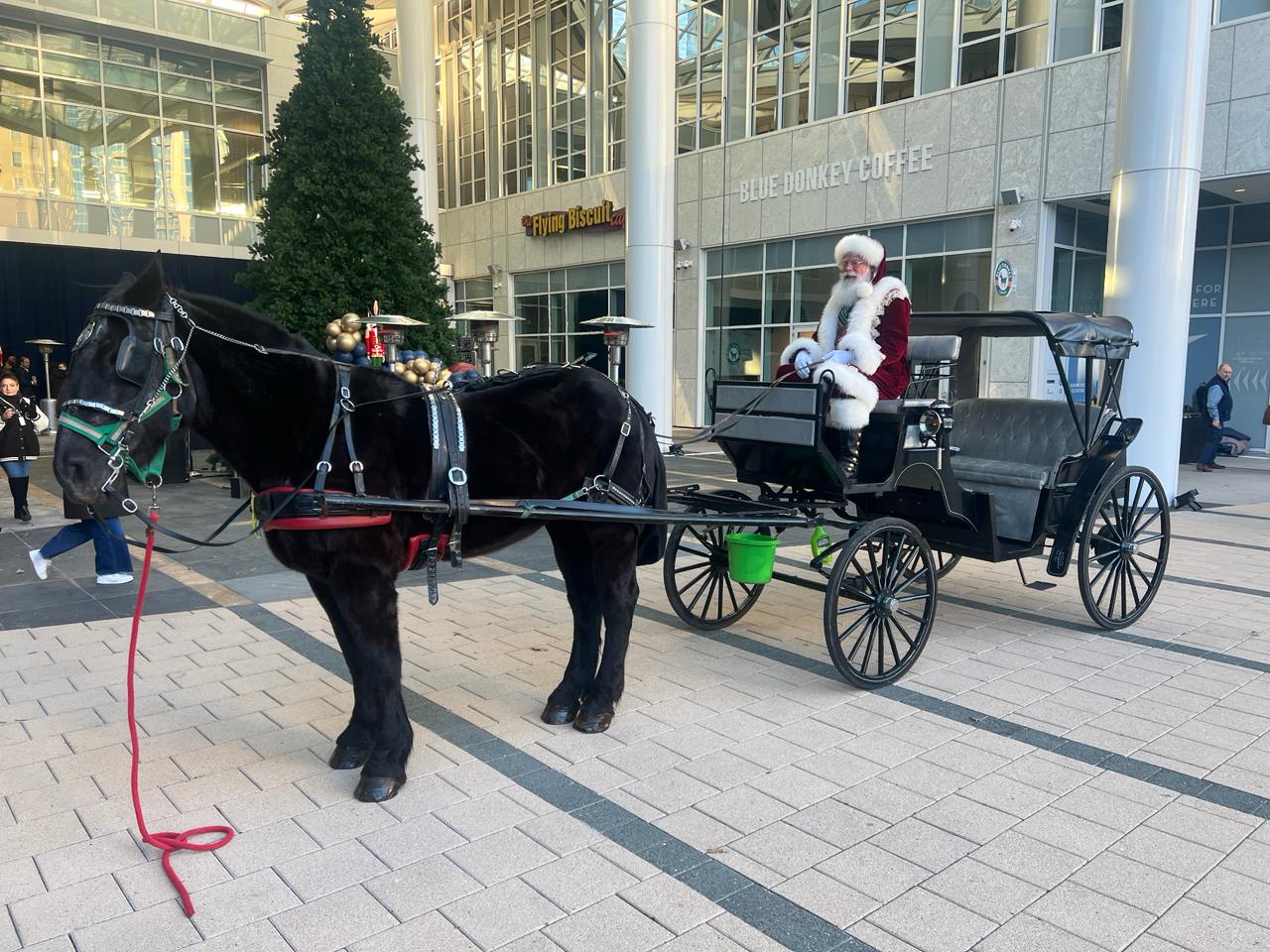 {{brizy_dc_image_alt imageSrc=